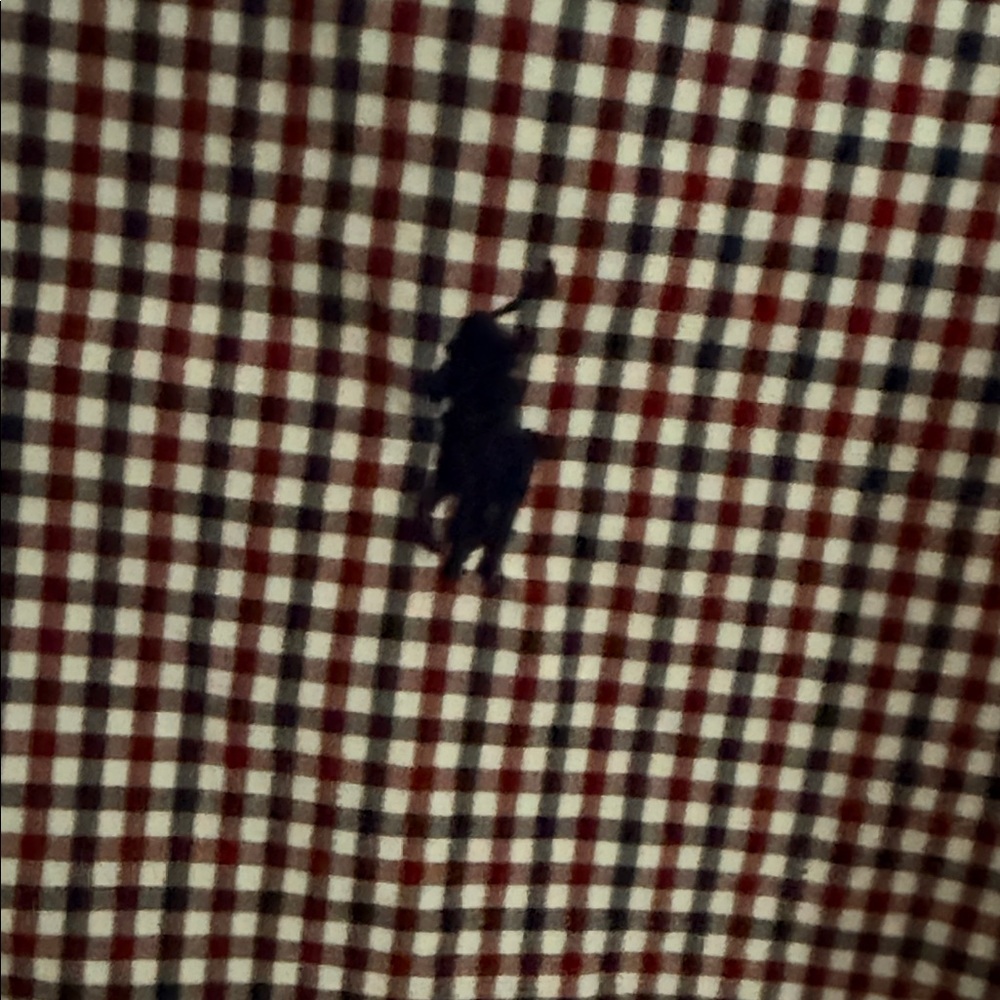 Ralph Lauren Blue Label Burgundy Checkered Shirt XL - Picture 4 of 7